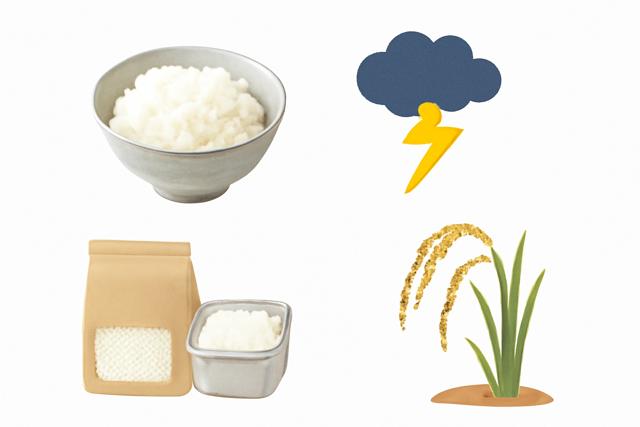 rice_infographic_corrected_