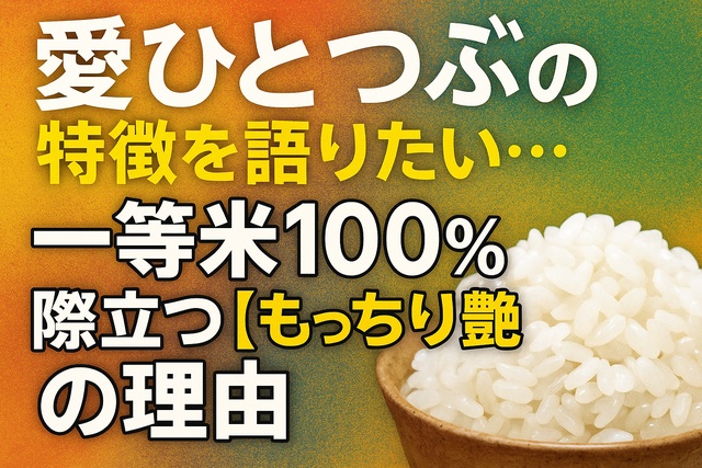 Premium rice features poster
