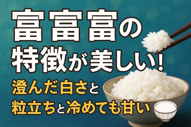 Fufufu rice features poster